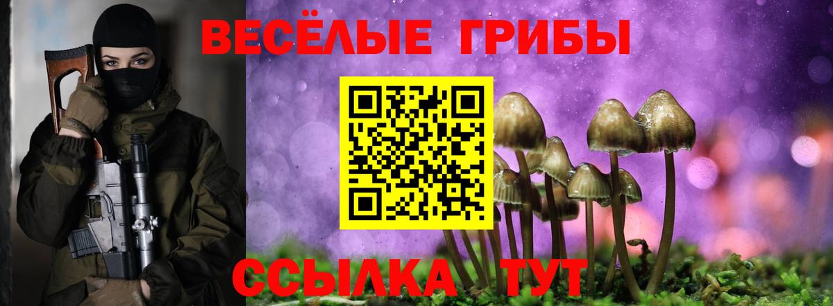 Псилоцибиновые грибы мицелий Лесозаводск
